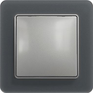 Sedna rocker switch (aluminium insert, smoke matte frame)